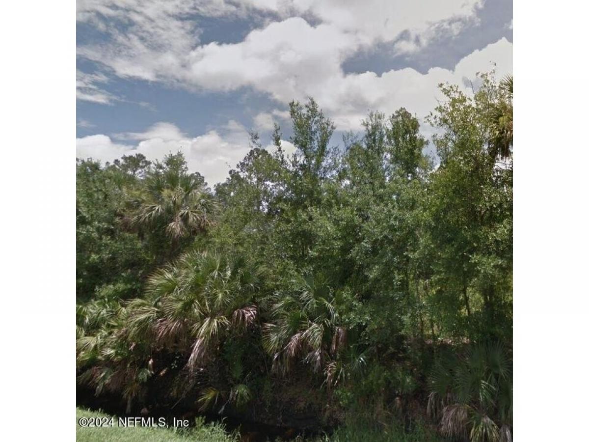 Picture of Residential Land For Sale in Bunnell, Florida, United States