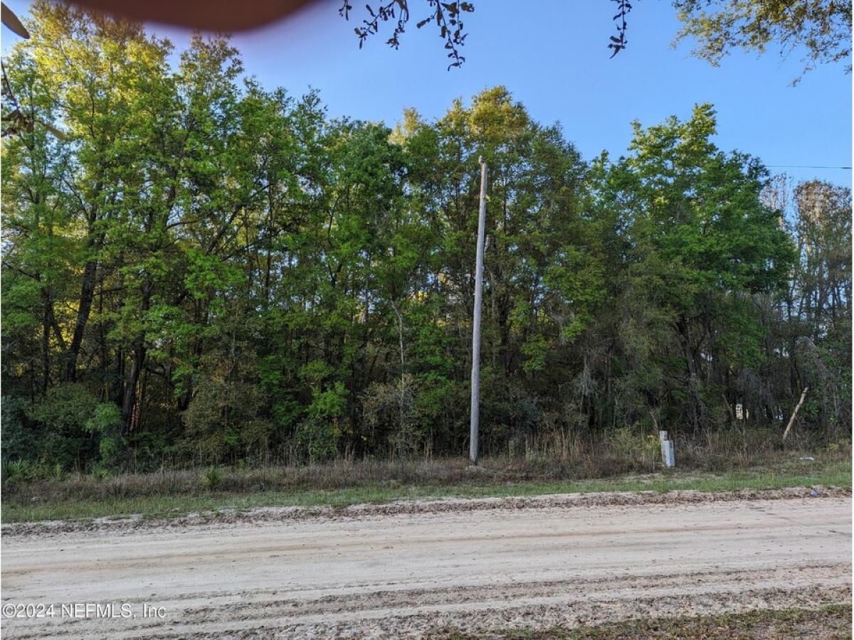 Picture of Residential Land For Sale in Interlachen, Florida, United States