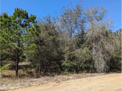 Residential Land For Sale in Interlachen, Florida