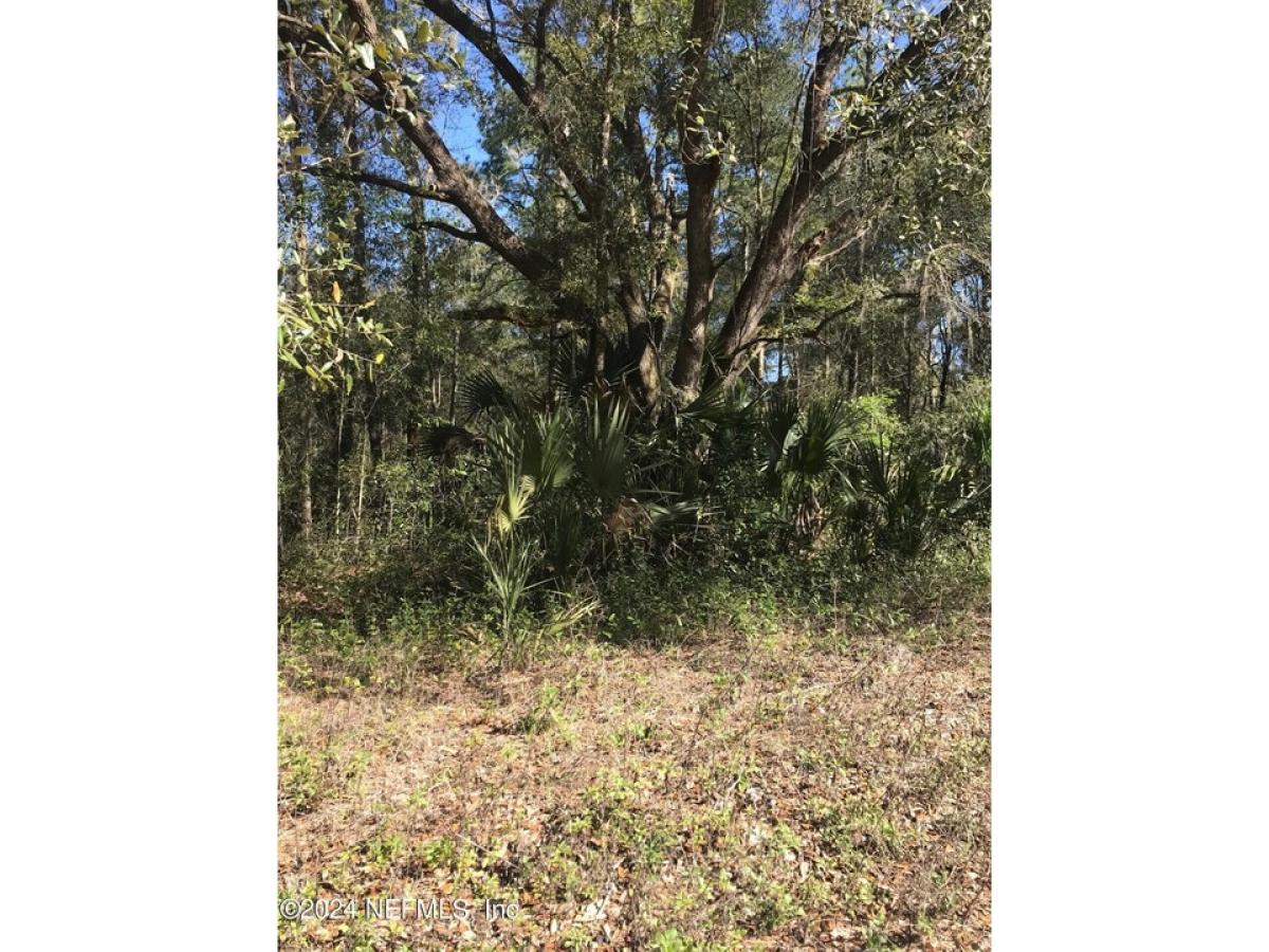 Picture of Residential Land For Sale in Interlachen, Florida, United States