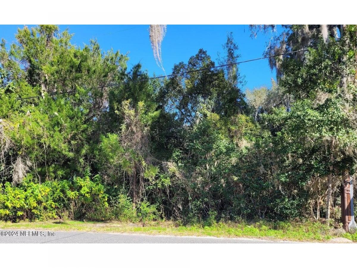 Picture of Residential Land For Sale in Pomona Park, Florida, United States