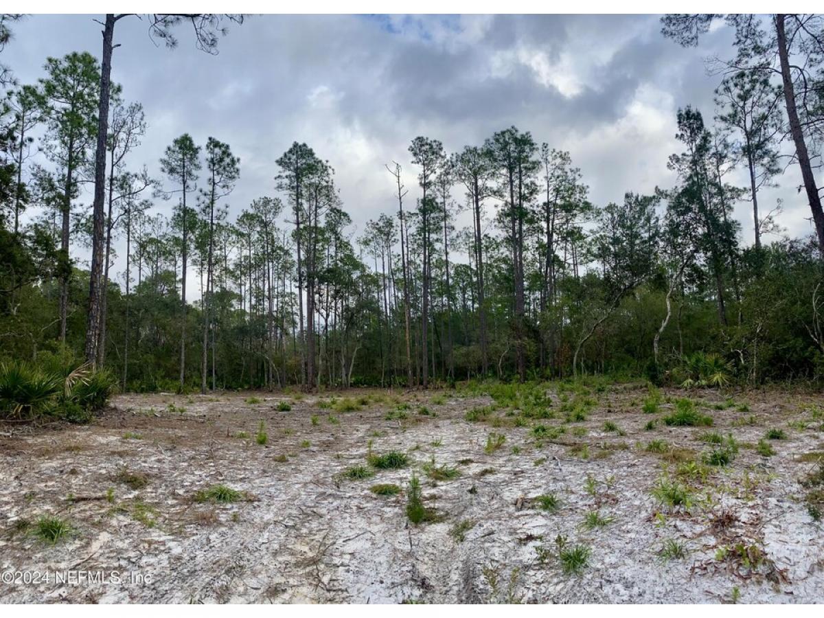 Picture of Residential Land For Sale in Georgetown, Florida, United States