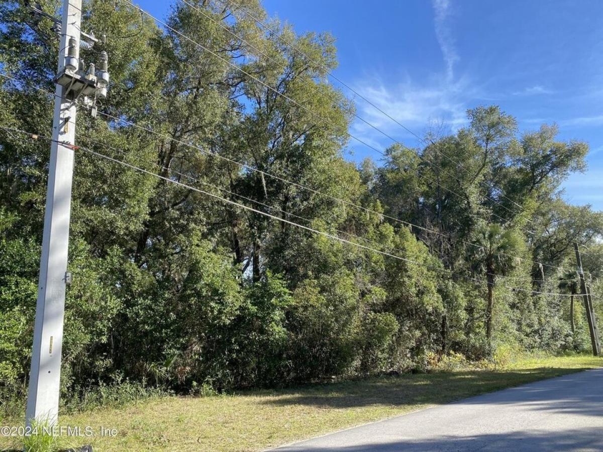 Picture of Residential Land For Sale in Crescent City, Florida, United States