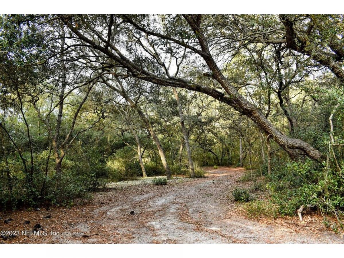 Picture of Residential Land For Sale in Interlachen, Florida, United States