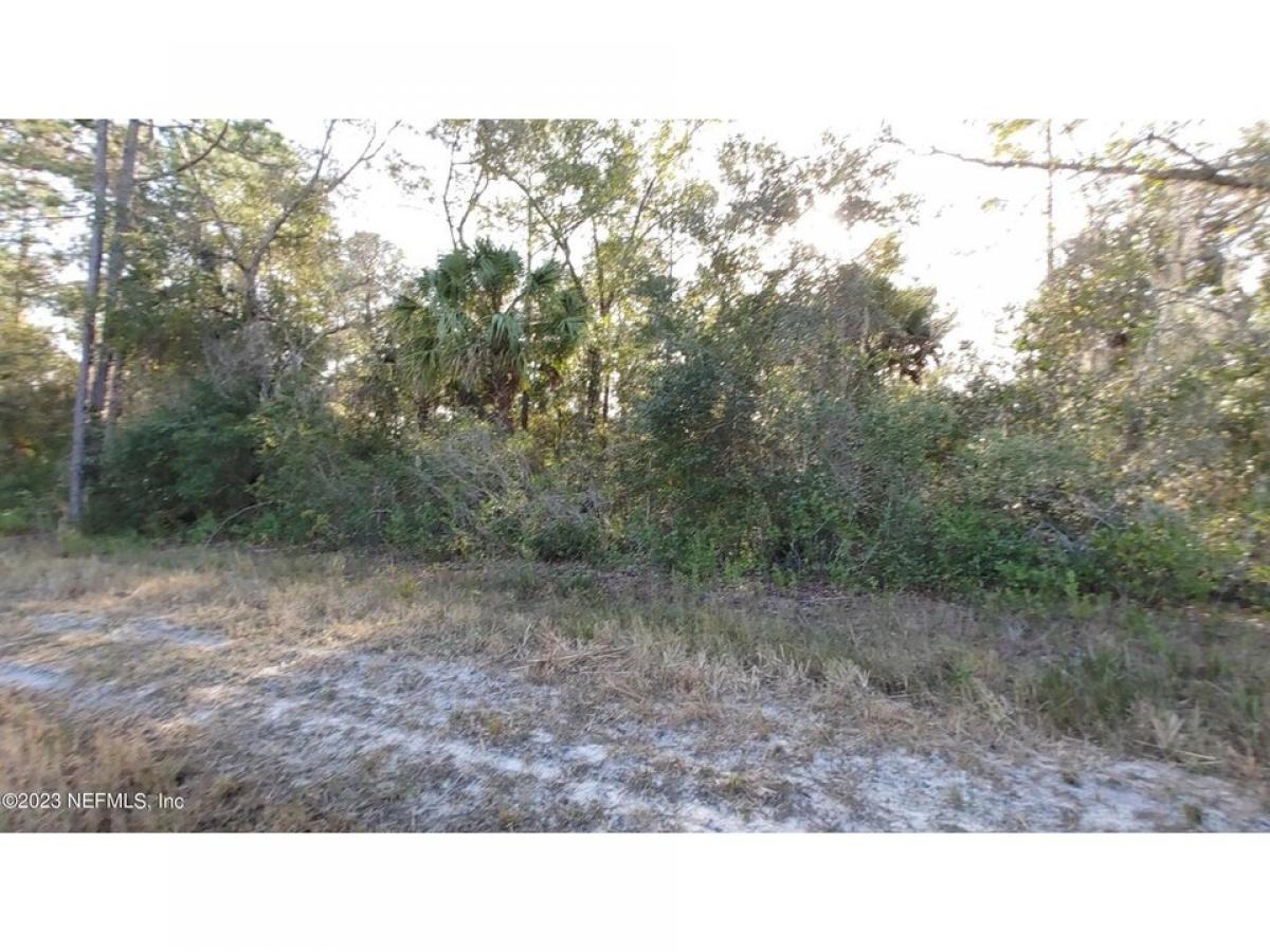 Picture of Residential Land For Sale in Georgetown, Florida, United States