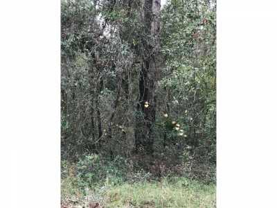 Residential Land For Sale in Interlachen, Florida