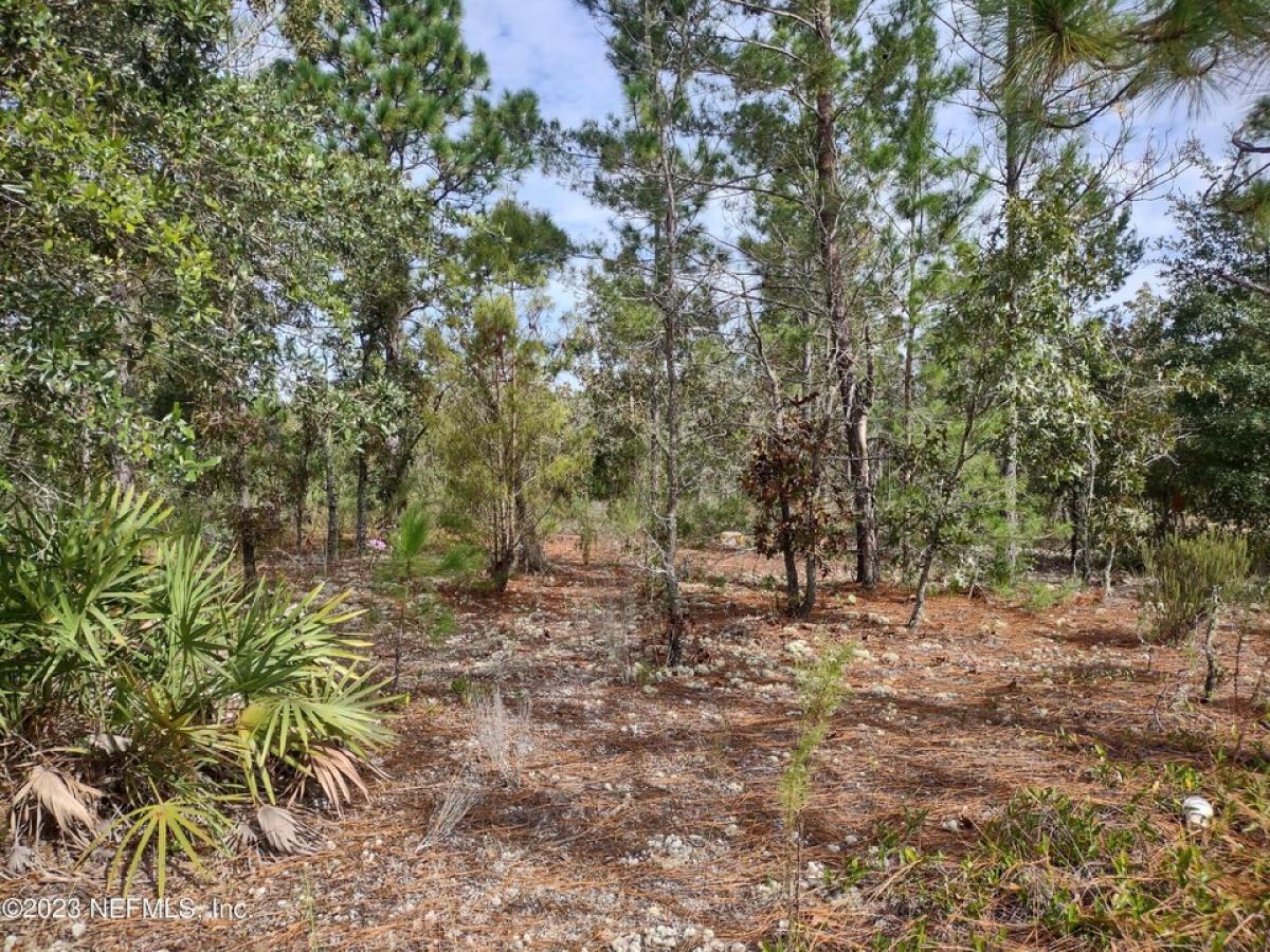 Picture of Residential Land For Sale in Hawthorne, Florida, United States