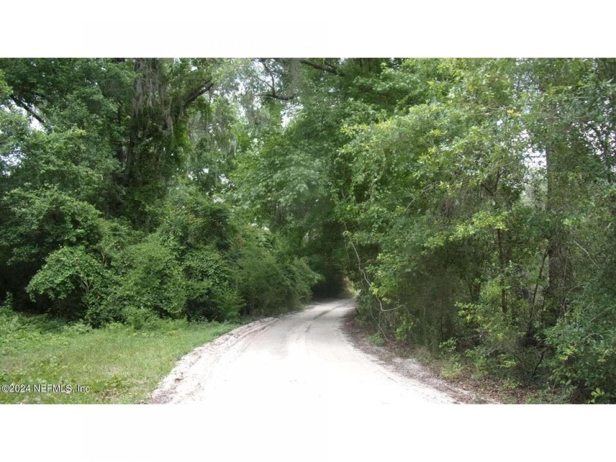 Picture of Residential Land For Sale in Florahome, Florida, United States