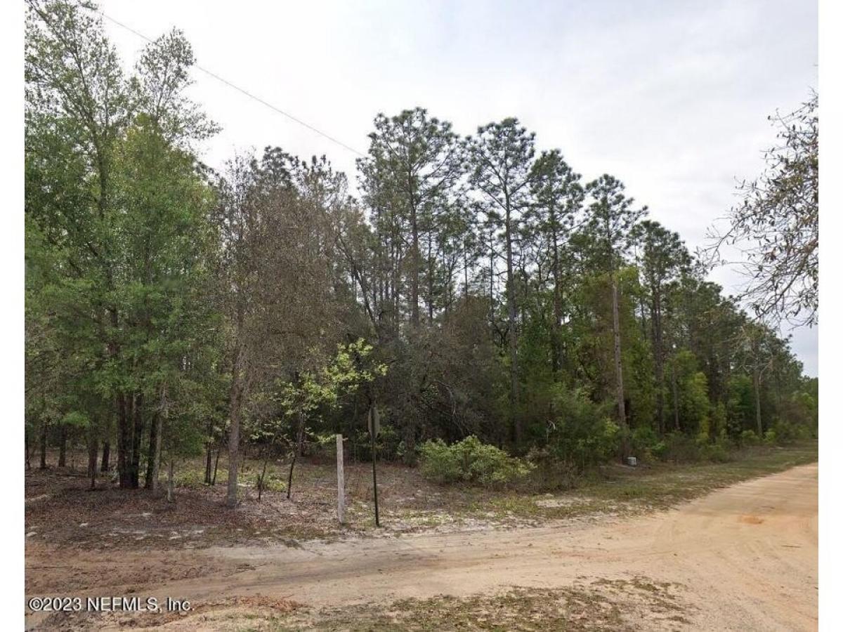 Picture of Residential Land For Sale in Interlachen, Florida, United States