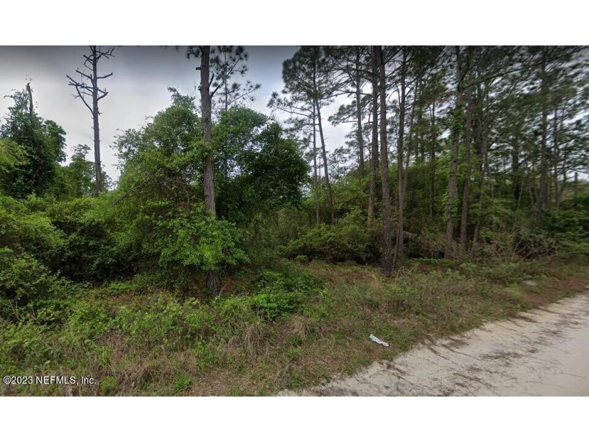 Picture of Residential Land For Sale in Satsuma, Florida, United States