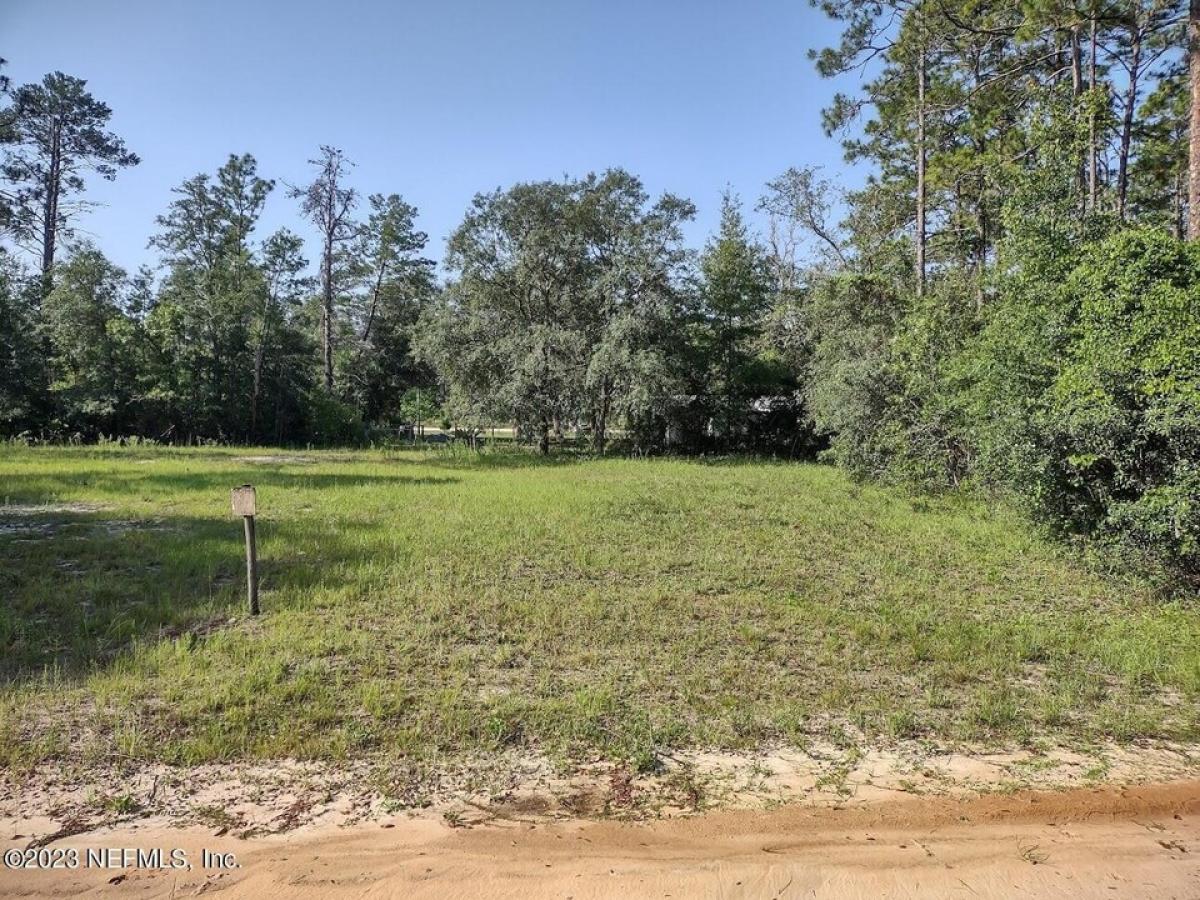 Picture of Residential Land For Sale in Interlachen, Florida, United States