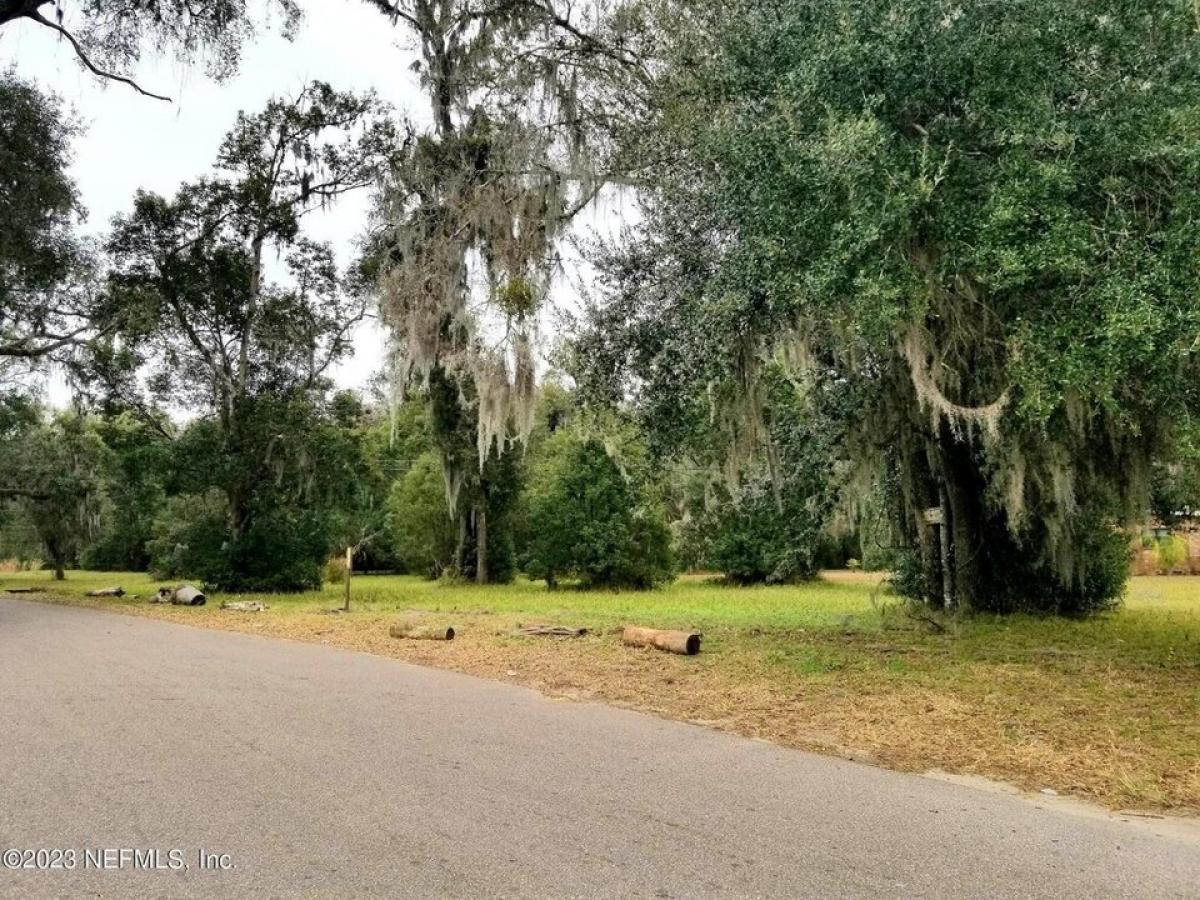 Picture of Residential Land For Sale in Crescent City, Florida, United States