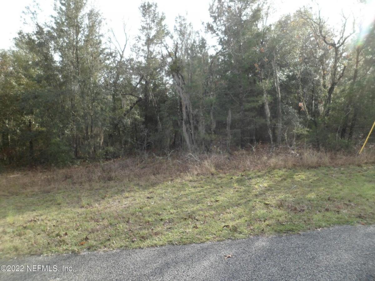 Picture of Residential Land For Sale in Interlachen, Florida, United States