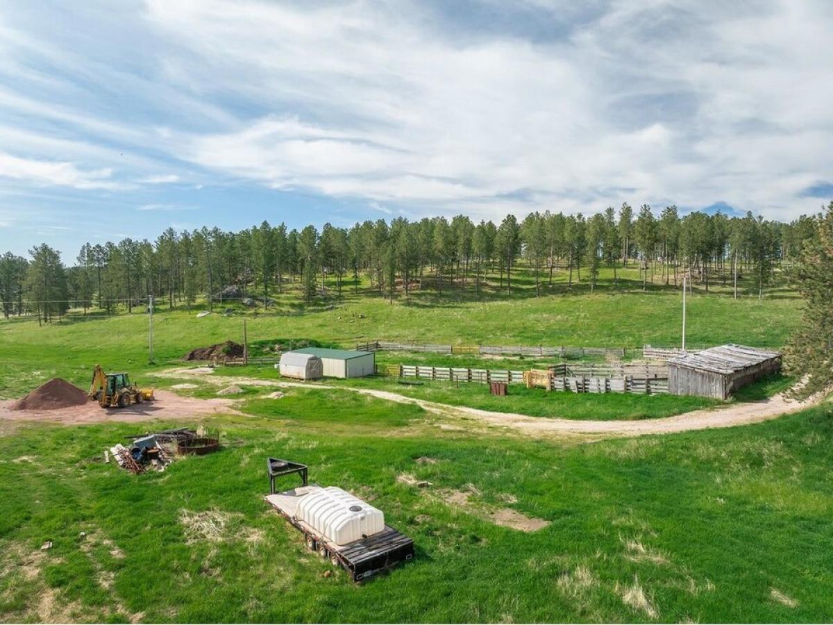 Picture of Residential Land For Sale in Custer, South Dakota, United States