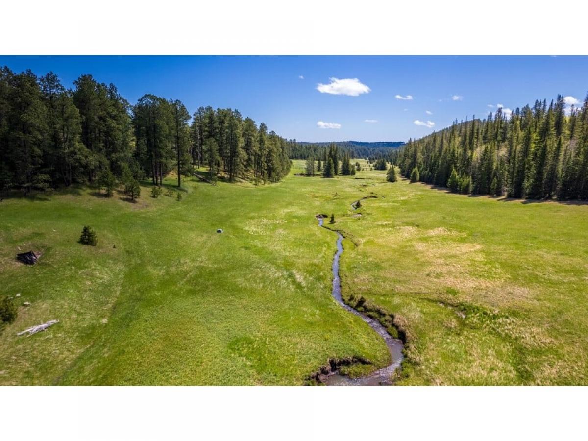 Picture of Residential Land For Sale in Deadwood, South Dakota, United States