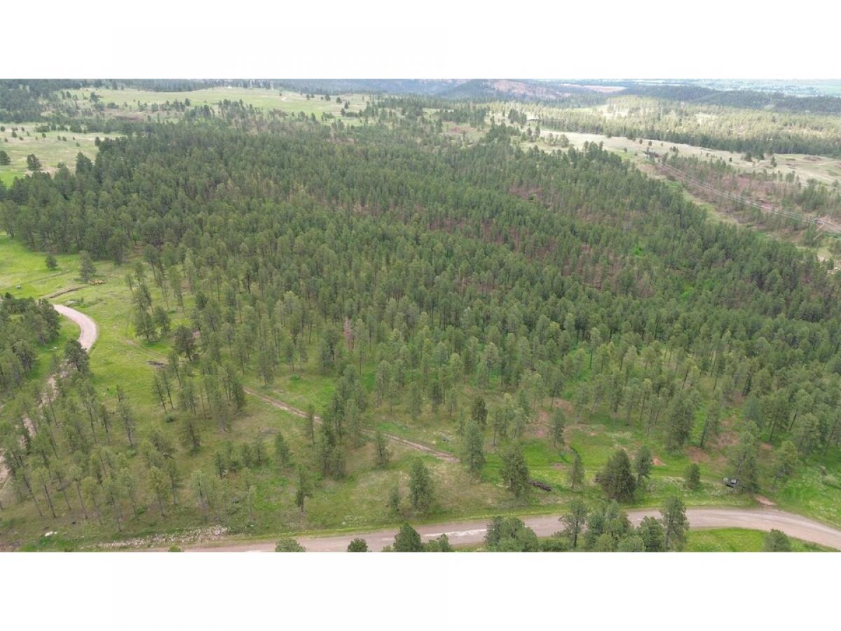 Picture of Residential Land For Sale in Rapid City, South Dakota, United States