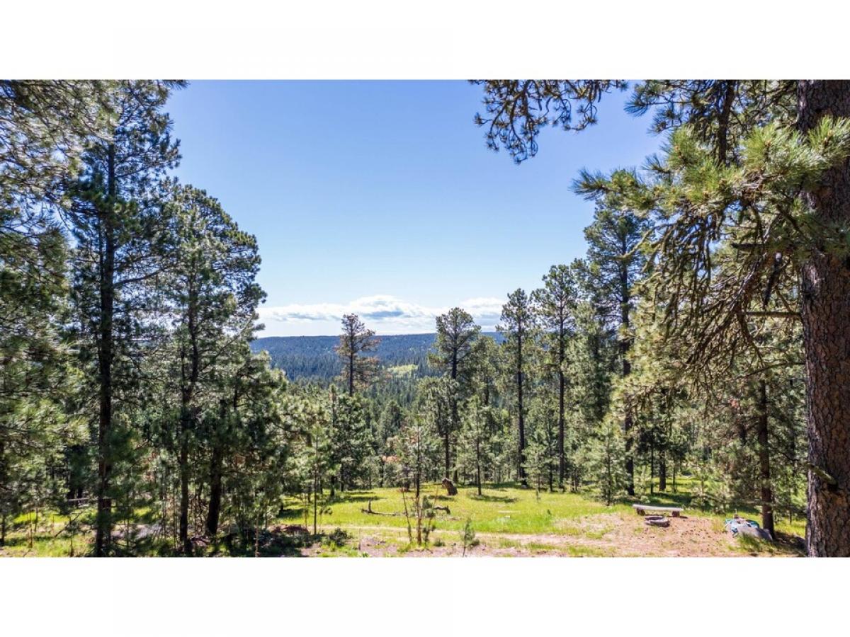 Picture of Residential Land For Sale in Deadwood, South Dakota, United States