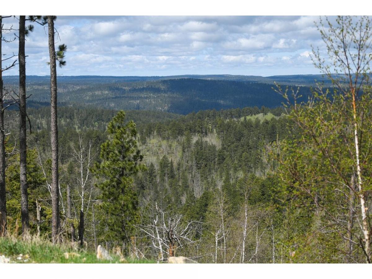 Picture of Residential Land For Sale in Lead, South Dakota, United States