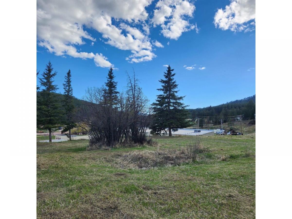 Picture of Residential Land For Sale in Hill City, South Dakota, United States