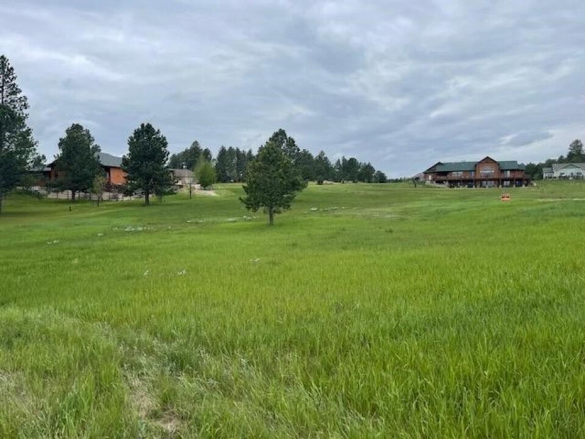 Picture of Residential Land For Sale in Custer, South Dakota, United States