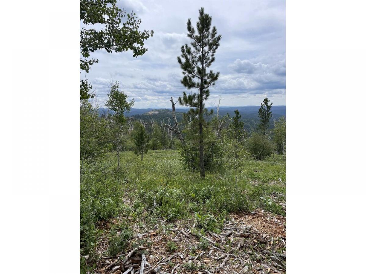 Picture of Residential Land For Sale in Lead, South Dakota, United States