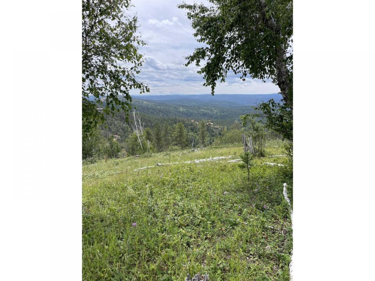 Picture of Residential Land For Sale in Lead, South Dakota, United States