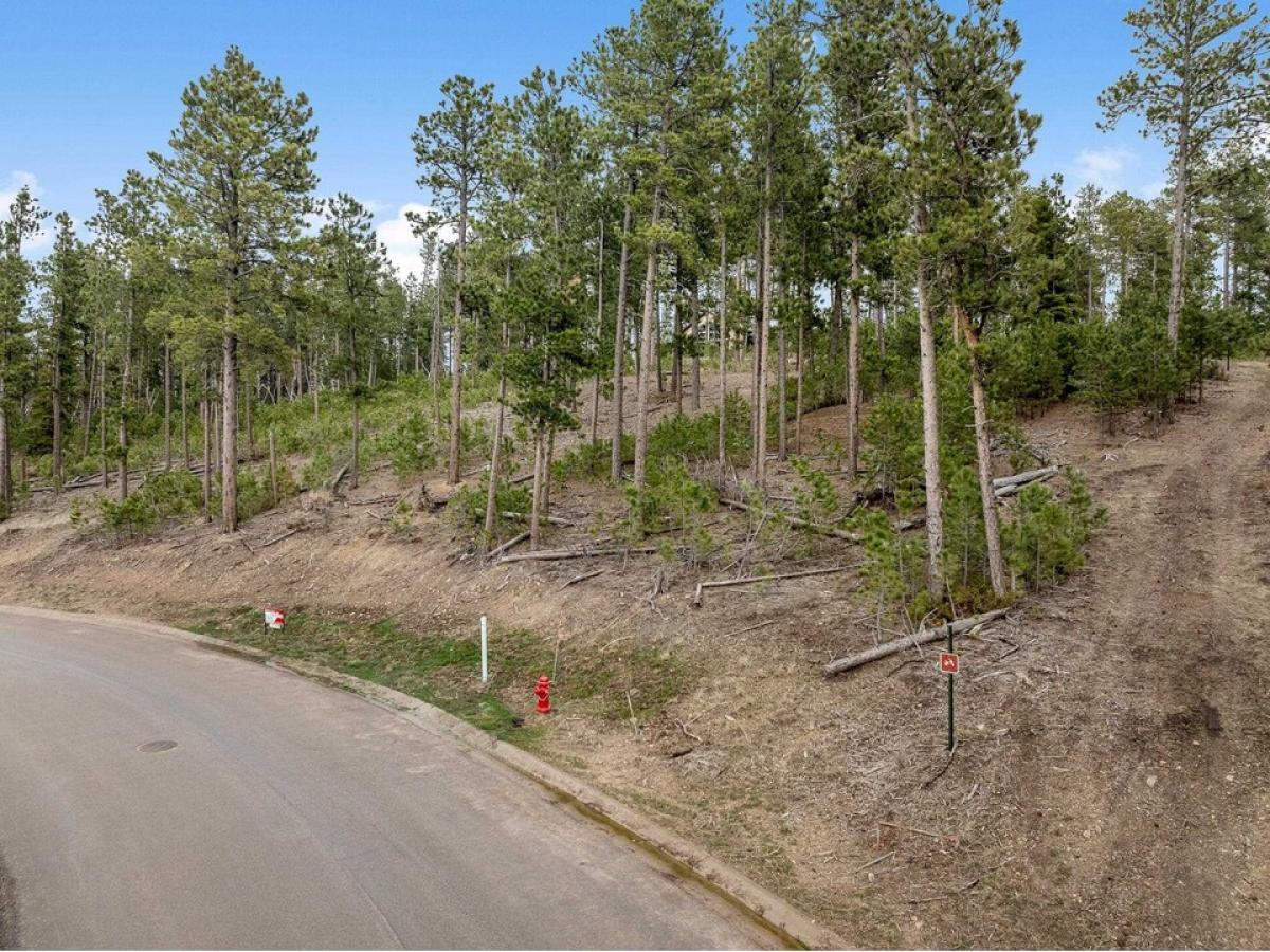 Picture of Residential Land For Sale in Lead, South Dakota, United States