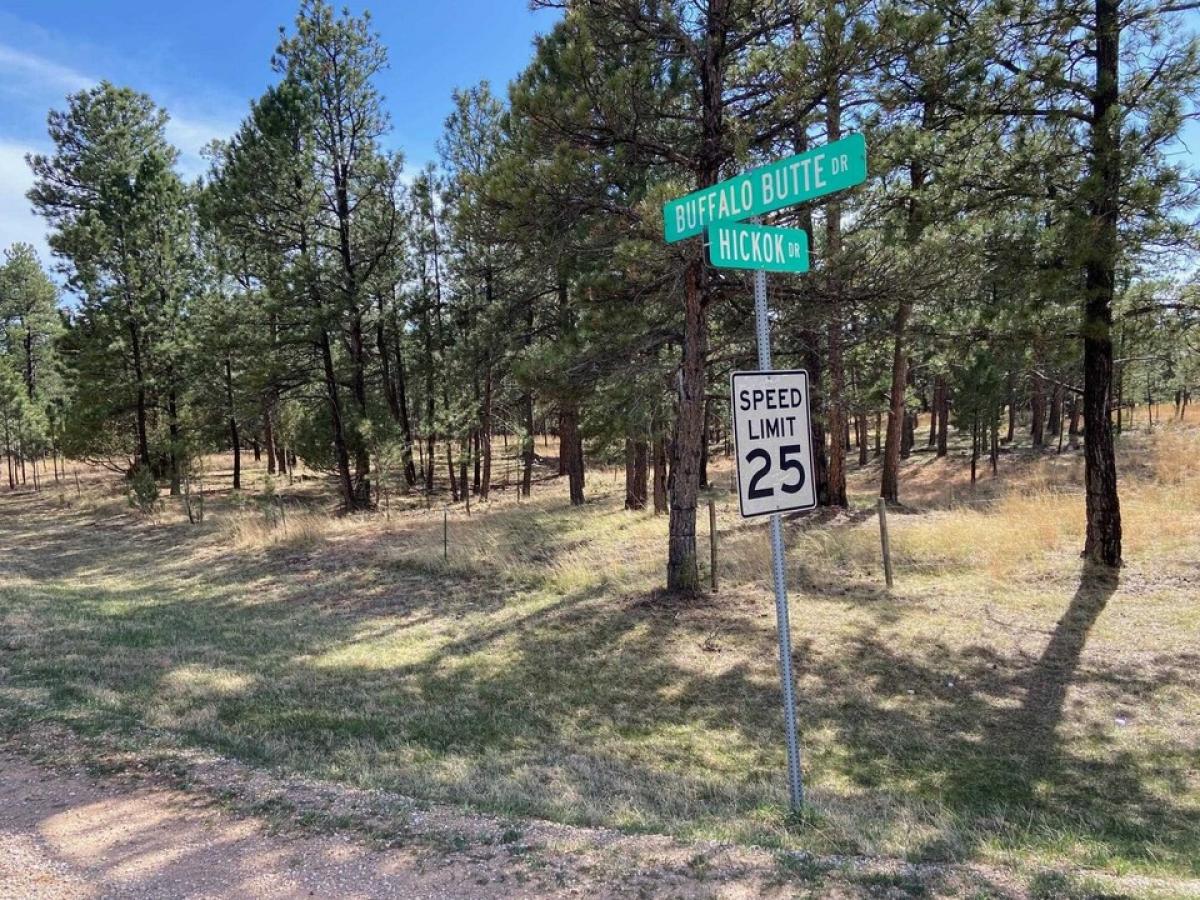 Picture of Residential Land For Sale in Hot Springs, South Dakota, United States