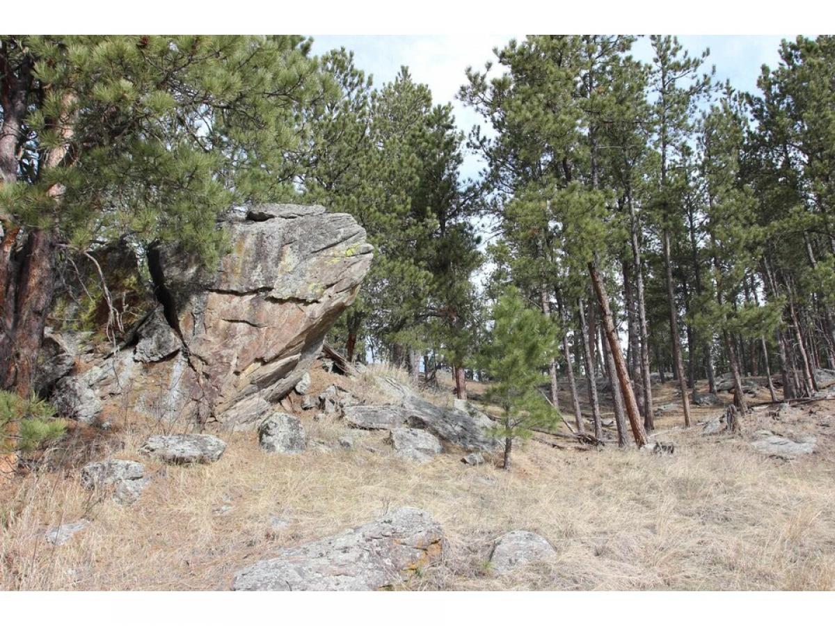 Picture of Residential Land For Sale in Custer, South Dakota, United States