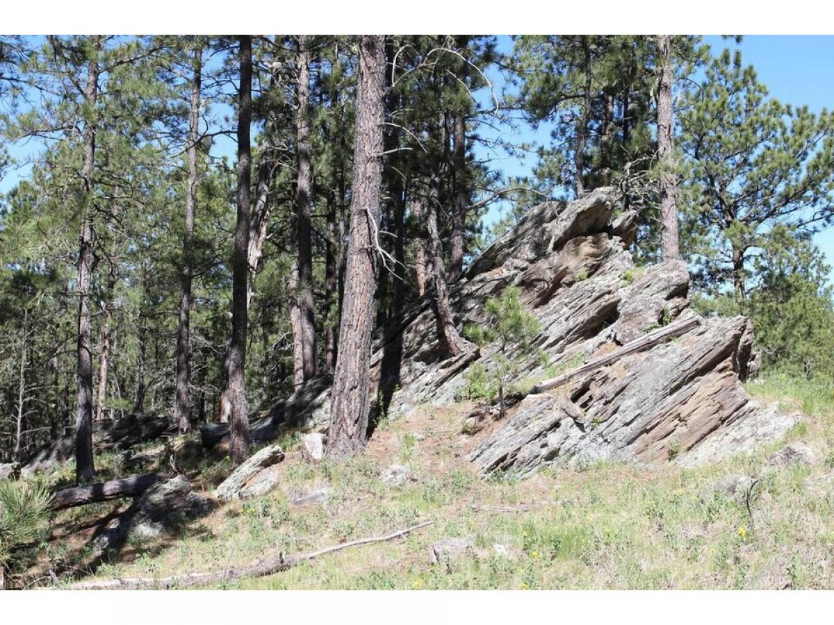 Picture of Residential Land For Sale in Custer, South Dakota, United States