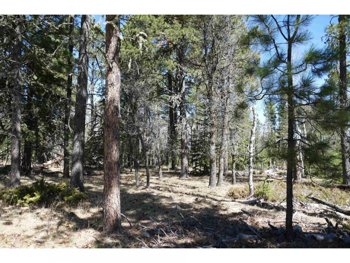 Picture of Residential Land For Sale in Deadwood, South Dakota, United States