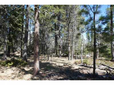 Residential Land For Sale in Deadwood, South Dakota