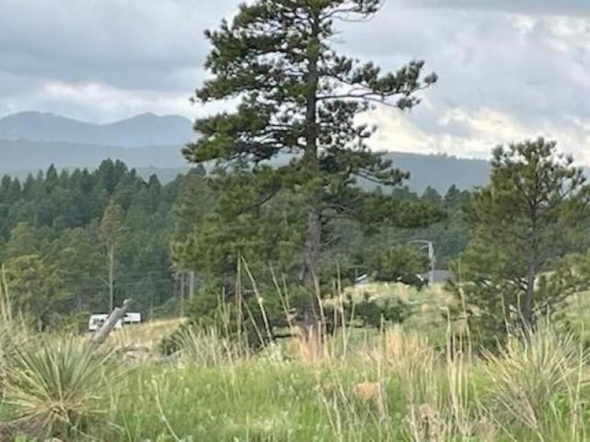 Picture of Residential Land For Sale in Keystone, South Dakota, United States