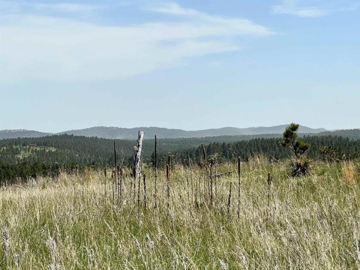 Picture of Residential Land For Sale in Keystone, South Dakota, United States