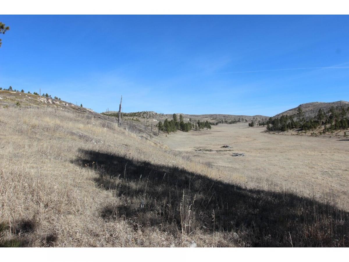 Picture of Residential Land For Sale in Custer, South Dakota, United States