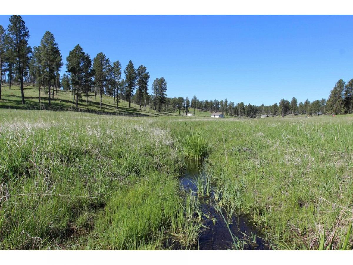 Picture of Residential Land For Sale in Custer, South Dakota, United States