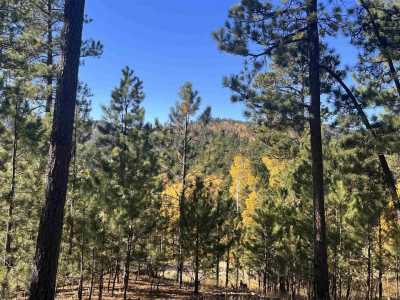 Residential Land For Sale in Lead, South Dakota