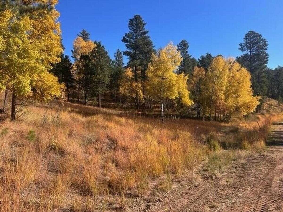 Picture of Residential Land For Sale in Lead, South Dakota, United States