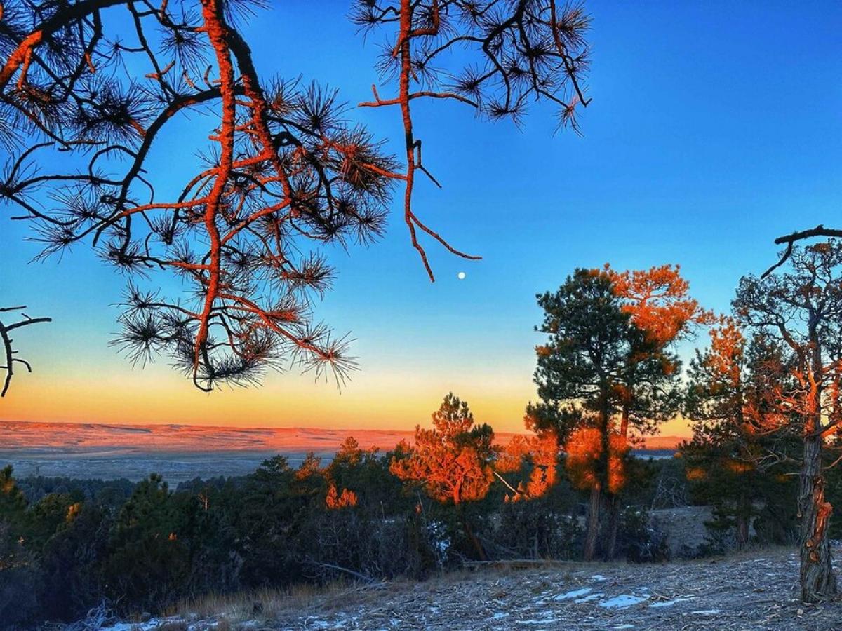 Picture of Residential Land For Sale in Moorcroft, Wyoming, United States