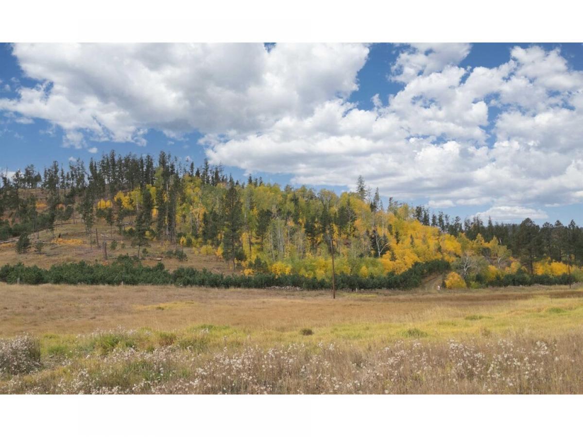 Picture of Residential Land For Sale in Custer, South Dakota, United States