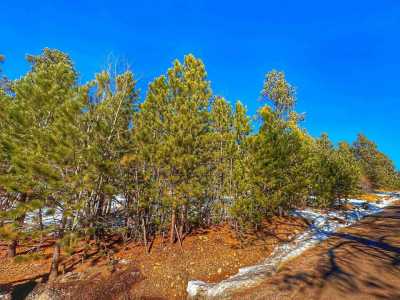 Residential Land For Sale in Lead, South Dakota