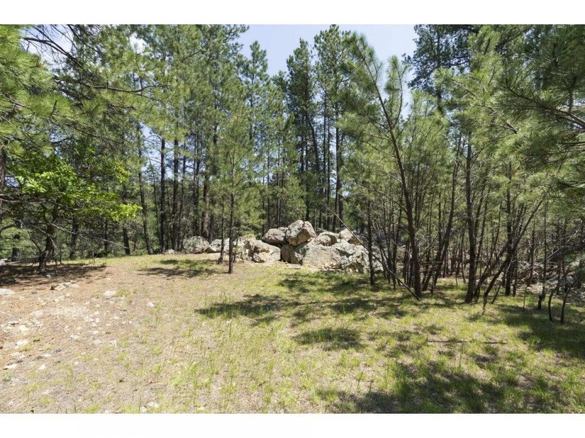 Picture of Residential Land For Sale in Keystone, South Dakota, United States