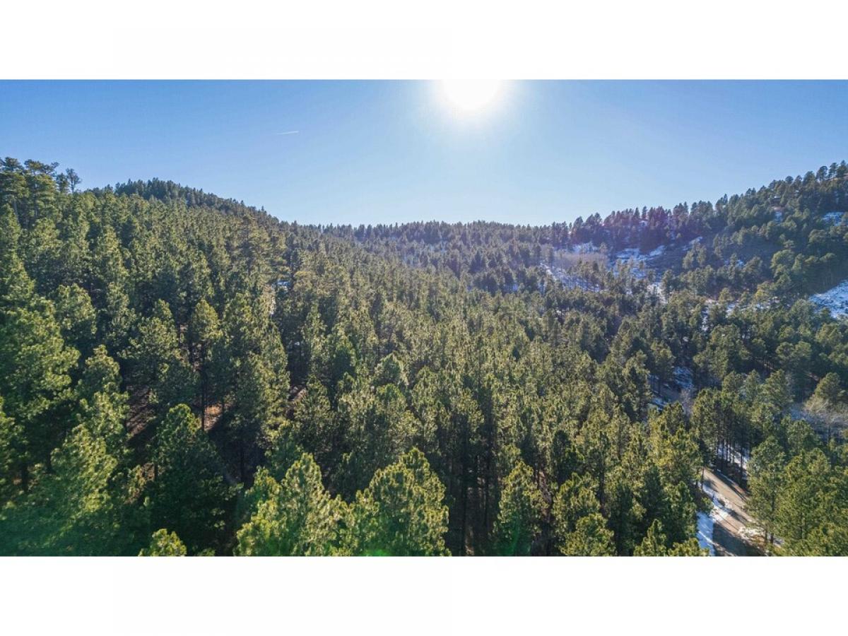 Picture of Residential Land For Sale in Rapid City, South Dakota, United States