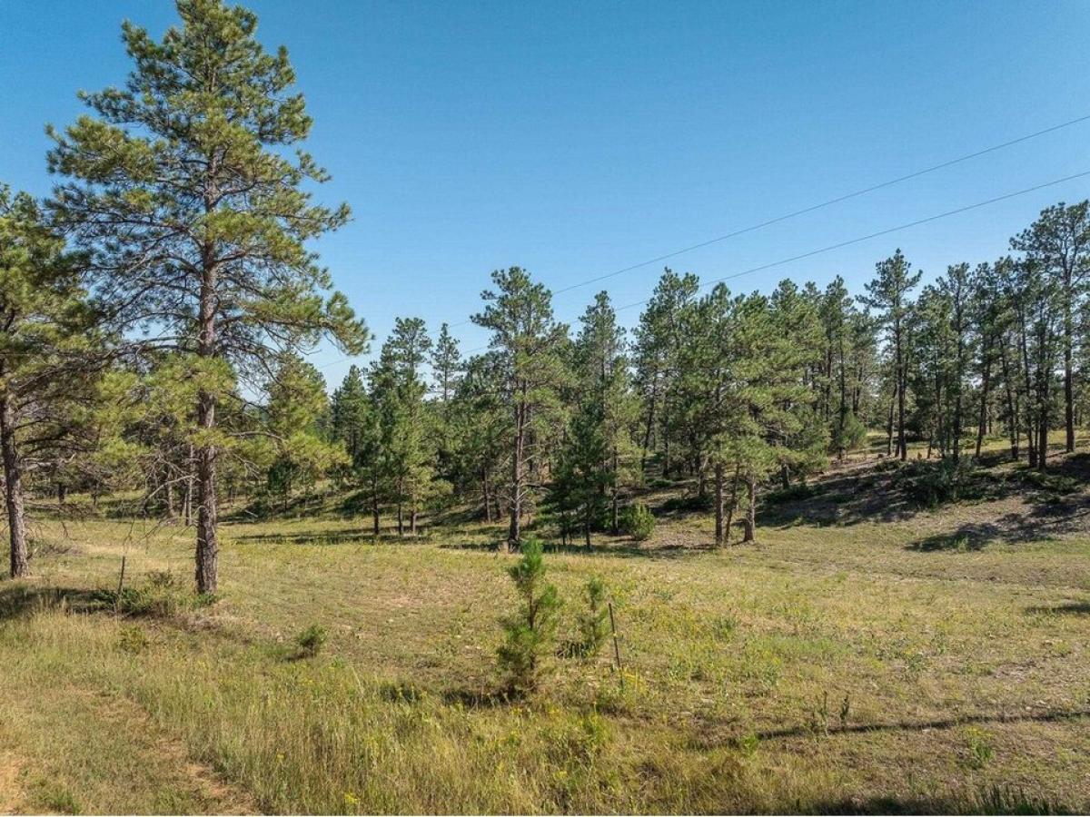 Picture of Residential Land For Sale in Hot Springs, South Dakota, United States