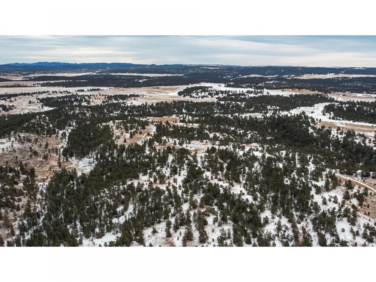 Picture of Residential Land For Sale in Custer, South Dakota, United States