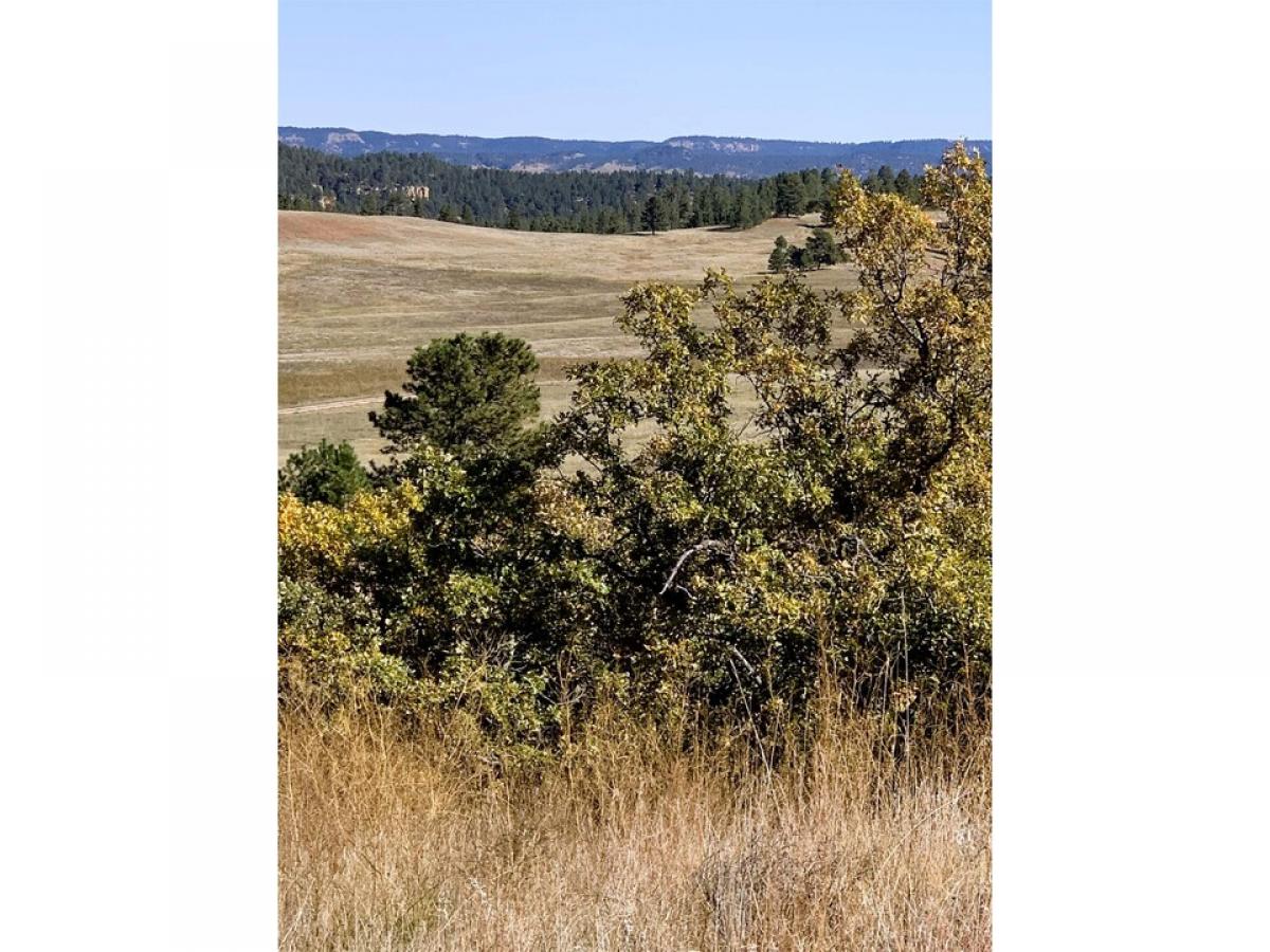 Picture of Residential Land For Sale in Hulett, Wyoming, United States