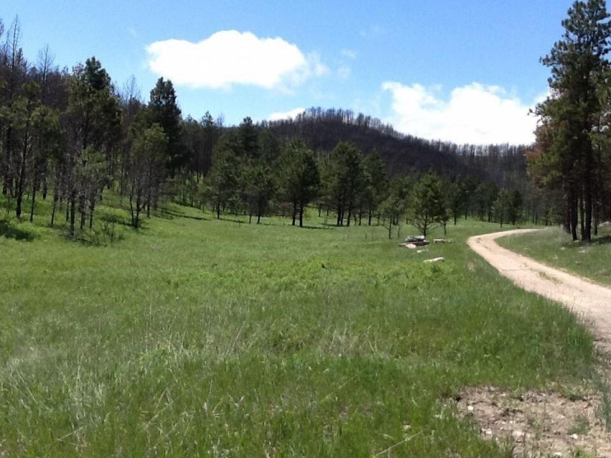 Picture of Residential Land For Sale in Custer, South Dakota, United States