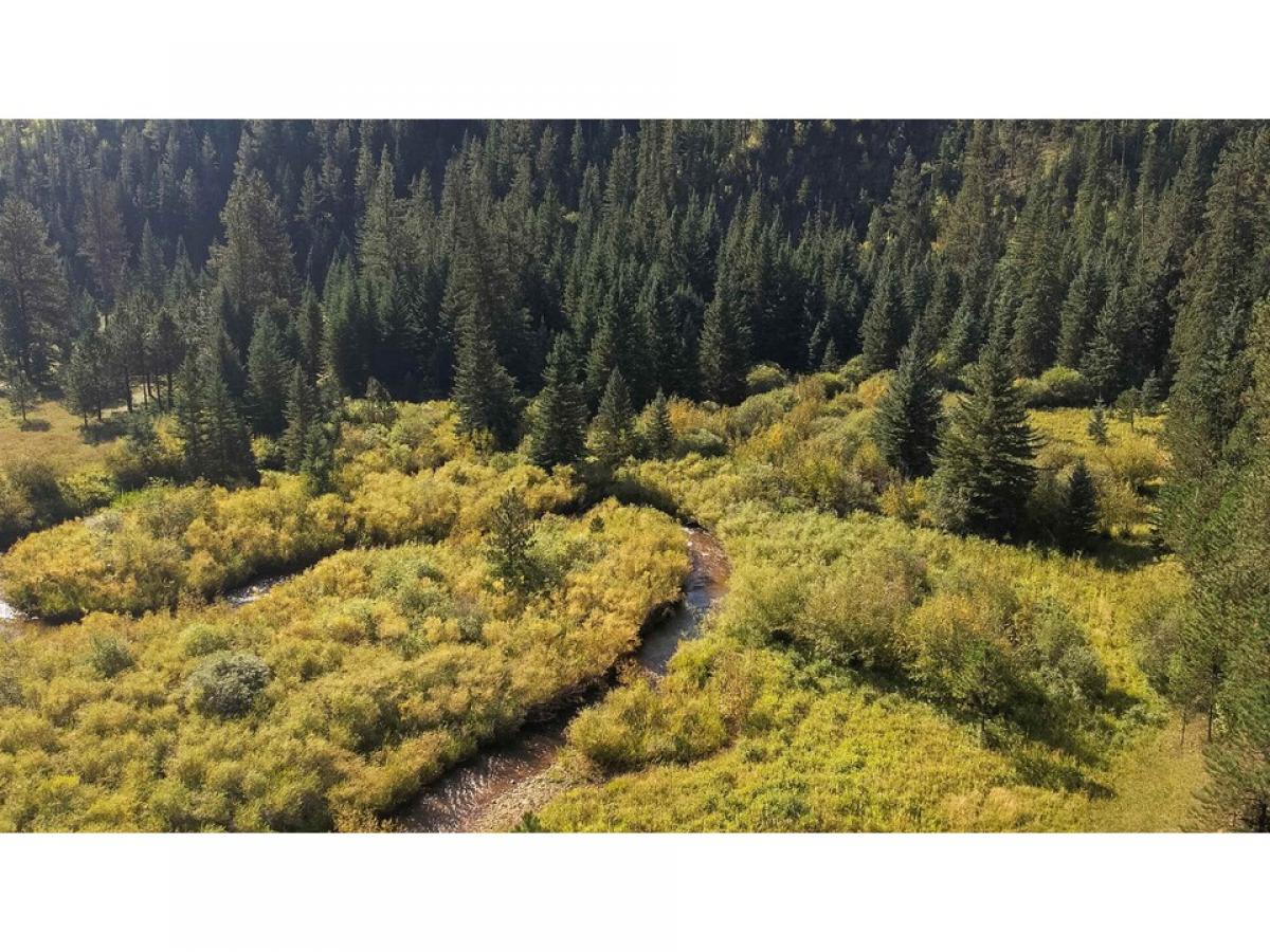 Picture of Residential Land For Sale in Hill City, South Dakota, United States