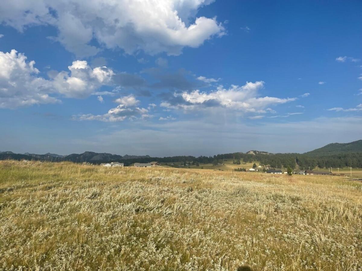 Picture of Residential Land For Sale in Custer, South Dakota, United States