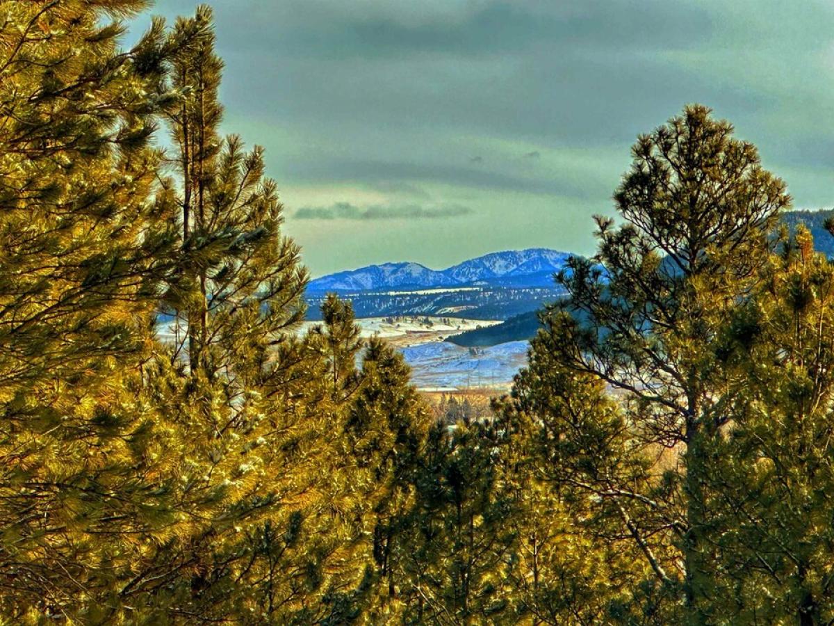 Picture of Residential Land For Sale in Sundance, Wyoming, United States